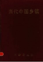 当代中国乡镇