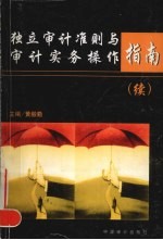 独立审计准则与审计实务操作指南 续
