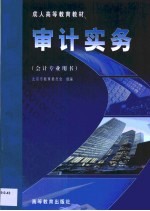 审计实务