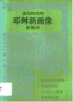 耶稣新画像·耶稣新画像:圣经的批判