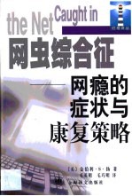 网虫综合征 网瘾的症状与康复策略