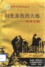 阳光亲抚的大地 非洲文明