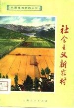 社会主义新农村