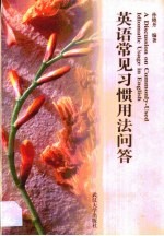英语常见习惯用法问答