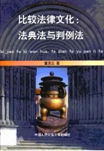 比较法律文化 法典法与判例法