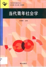 当代青年社会学