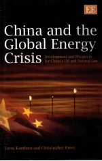 China and the Global Energy Crisis Development and Prospects for China's Oil and Natural Gas