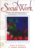 SOCIAL WORK:ISSUES AND OPPORTUNITIES IN A CHALLENGING PROFESSION SECOND EDITION
