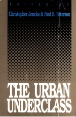 THE URBAN UNDERCLASS