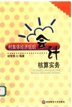 村集体经济组织会计核算实务