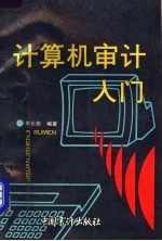 计算机审计入门