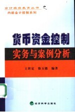 货币资金控制实务与案例分析