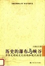 历史的瀑布与峡谷 中华文明的文化结构和现代转型