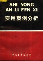 实用案例分析