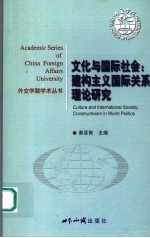 文化与国际社会 建构主义国际关系理论研究