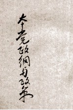 本党政纲与政策
