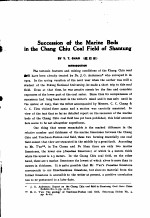 BULLETIN OF THE GEOLOGICAL SURVEY OF CHINA NUMBER 8