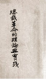 总裁革命的理论与实践 总裁言行体系 初稿