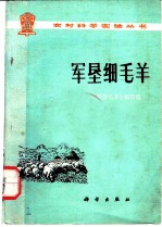 军垦细毛羊