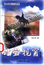 时空视窗 阮大华文学作品选
