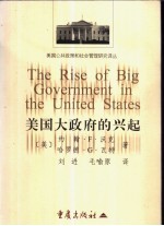 美国大政府的兴起