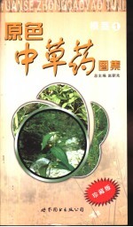 原色中草药图集 根茎 1