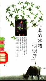 心上的茉莉悄悄开