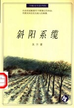 斜阳系缆