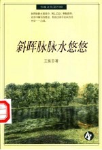 斜晖脉脉水悠悠