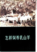 怎样饲养乳山羊