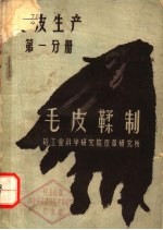 毛皮鞣制