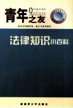 中国小百科全书 法律知识小百科