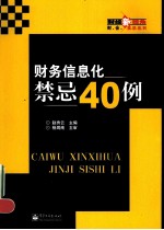 财务信息化禁忌40例