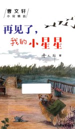 再见了,我的小星星