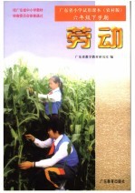 劳动 六年级下学期