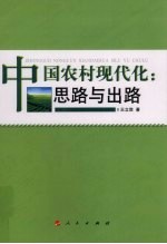 中国农村现代化 思路与出路