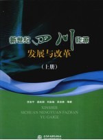 新世纪4川能源发展与改革 上