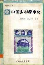 中国乡村都市化