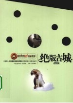 绝版古城