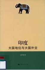 印度 大国地位与大国外交