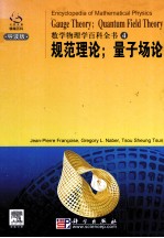 GAUGE THEORY;QUANTUM FIELD THEORY