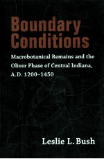 BOUNDARY CONDITIONS