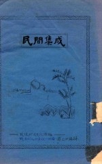 民间集成