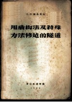 用盾构法及特殊方法修建的隧道 水底隧道