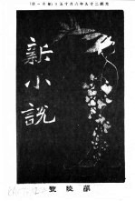 新小说 第6号