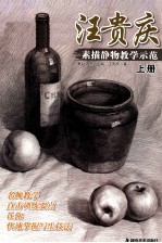 汪贵庆 素描静物教学示范 上