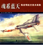 魂系蓝天 陈应明航空美术画集