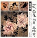 工笔画花鸟草虫特写 花鸟卷