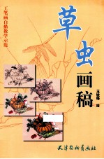 草虫画稿