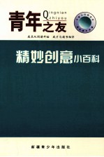 中国小百科全书 精妙创意小百科